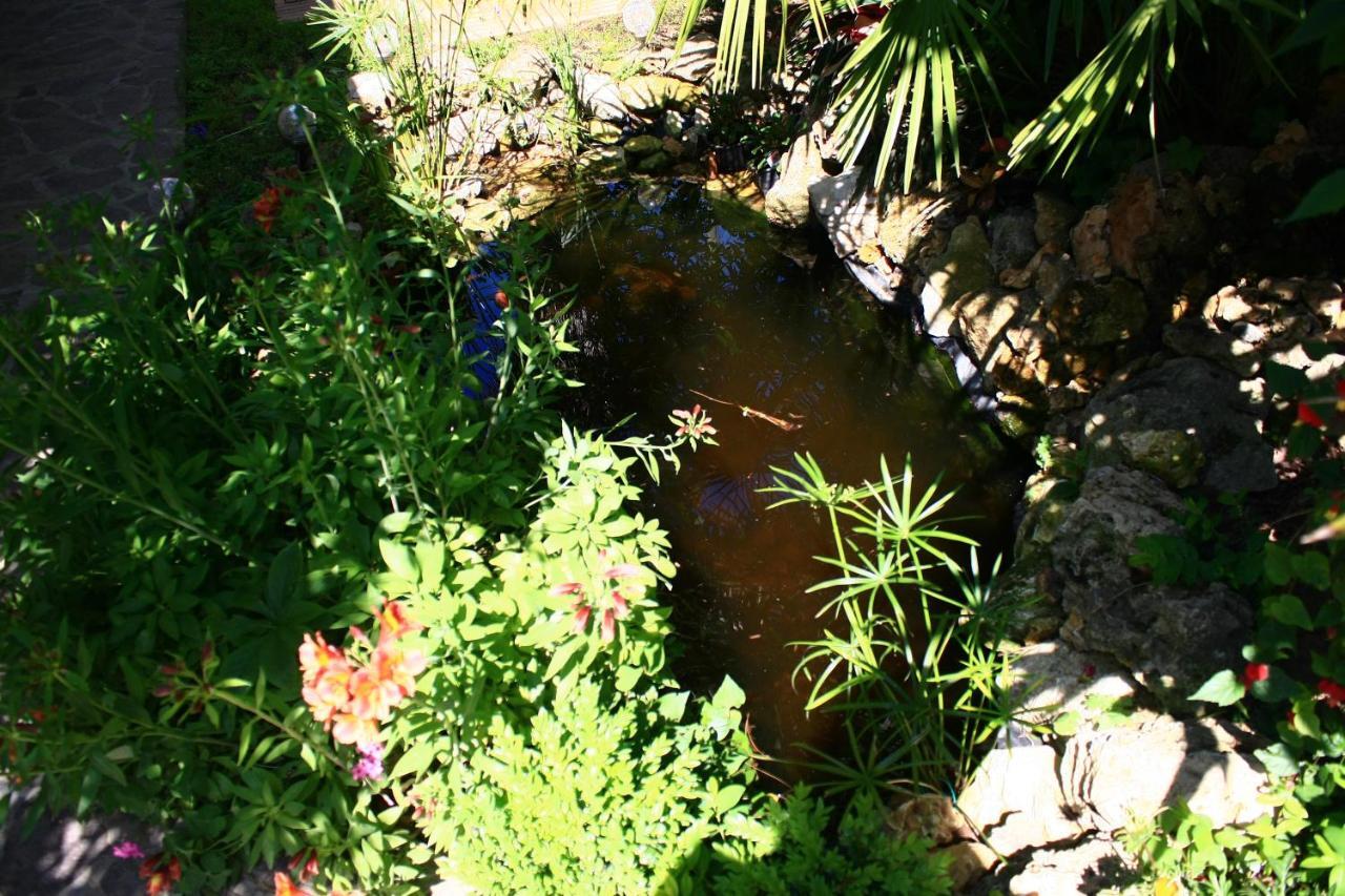 Garden Fuorirotta Bed & Breakfast San Giovanni Teatino Eksteriør bilde
